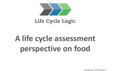 Life cycle perspective some foods